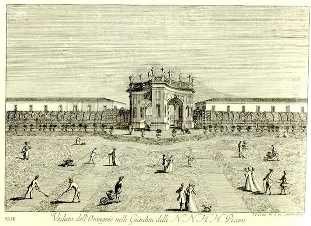 Orangerie Pisani